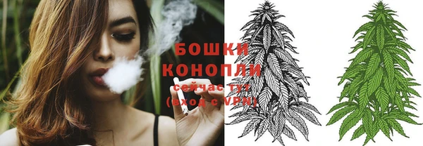 бошки Болотное