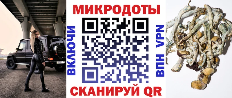 что такое Сосновоборск Галлюциногенные грибы мухоморы